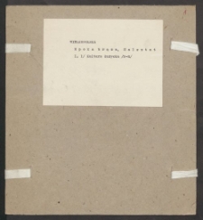 Archiwum prof. Józefa Kostrzewskiego. Teka 29, Wielkopolska