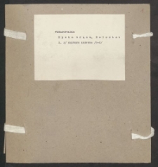 Archiwum prof. Józefa Kostrzewskiego. Teka 30, Wielkopolska