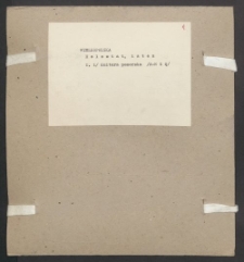 Archiwum prof. Józefa Kostrzewskiego. Teka 31, Wielkopolska