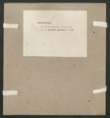 Archiwum prof. J&oacute;zefa Kostrzewskiego. Teka 32, Wielkopolska