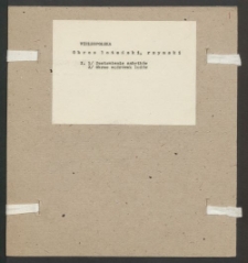 Archiwum prof. Józefa Kostrzewskiego. Teka 36, Wielkopolska