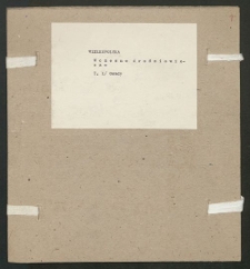 Archiwum prof. Józefa Kostrzewskiego. Teka 37, Wielkopolska