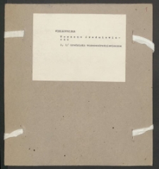 Archiwum prof. Józefa Kostrzewskiego. Teka 38, Wielkopolska