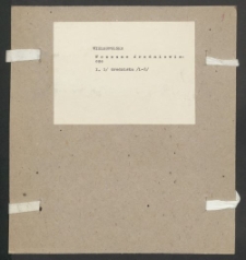 Archiwum prof. Józefa Kostrzewskiego. Teka 39, Wielkopolska