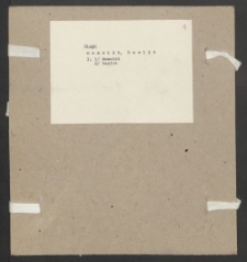 Archiwum prof. Józefa Kostrzewskiego. Teka 43, Śląsk