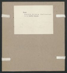 Archiwum prof. Józefa Kostrzewskiego. Teka 45, Śląsk