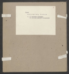 Archiwum prof. Józefa Kostrzewskiego. Teka 46, Śląsk