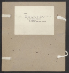 Archiwum prof. Józefa Kostrzewskiego. Teka 47, Śląsk