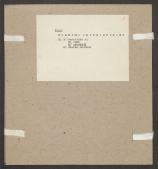 Archiwum prof. Józefa Kostrzewskiego. Teka 48, Śląsk