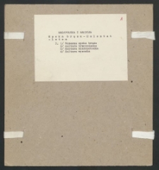 Archiwum prof. Józefa Kostrzewskiego. Teka 51, Małopolska i Galicja