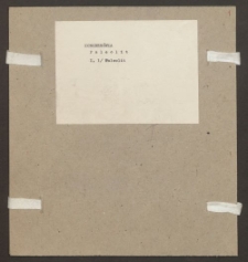 Archiwum prof. Józefa Kostrzewskiego. Teka 57, Kongresówka