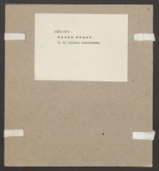 Archiwum prof. Józefa Kostrzewskiego. Teka 63, Królestwo Kongresowe