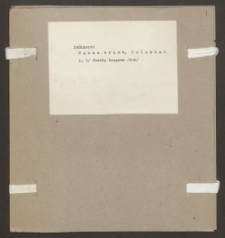 Archiwum prof. J&oacute;zefa Kostrzewskiego. Teka 64, Kr&oacute;lestwo Kongresowe