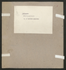 Archiwum prof. J&oacute;zefa Kostrzewskiego. Teka 68, Kr&oacute;lestwo Kongresowe