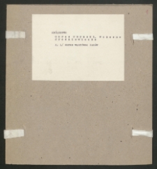 Archiwum prof. Józefa Kostrzewskiego. Teka 73, Królestwo Kongresowe