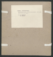 Archiwum prof. J&oacute;zefa Kostrzewskiego. Teka 89, Niemcy, Brandenburgia