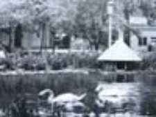 Zielona Góra; Park przy ul. Niepodległości