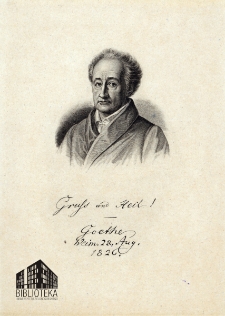 [Portret Johanna Wolfganga Goethego]