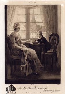 Aus Goethe's Jugendzeit