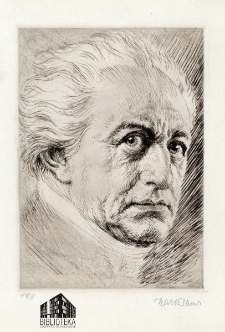 [Portret Johanna Wolfganga Goethego]