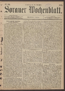 Sorauer Wochenblatt, No. 141. (30. November 1875)