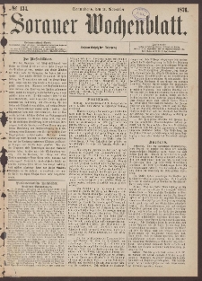 Sorauer Wochenblatt, No. 134. (11. November 1876)