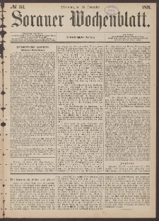 Sorauer Wochenblatt, No. 141. (28. November 1876)