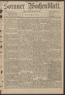 Sorauer Wochenblatt, Nr. 289. (12. Dezember 1894)