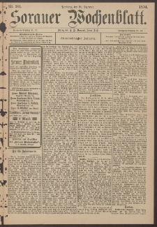 Sorauer Wochenblatt, Nr. 301. (28. Dezember 1894)