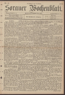 Sorauer Wochenblatt, Nr. 46. (23. Februar 1895)