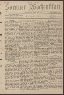 Sorauer Wochenblatt, Nr. 95. (24. April 1895)
