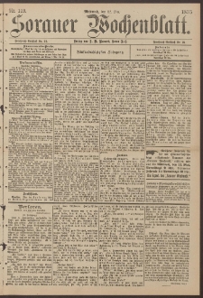 Sorauer Wochenblatt, Nr. 119. (22. Mai 1895)