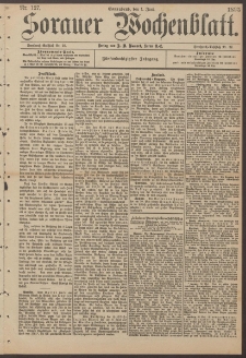 Sorauer Wochenblatt, Nr. 127. (1. Juni 1895)