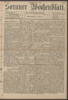 Sorauer Wochenblatt, Nr. 131. (8. Juni 1895)