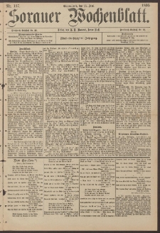 Sorauer Wochenblatt, Nr. 137. (15. Juni 1895)