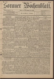 Sorauer Wochenblatt, Nr. 139. (18. Juni 1895)