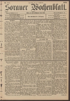 Sorauer Wochenblatt, Nr. 213. (13. September 1895)
