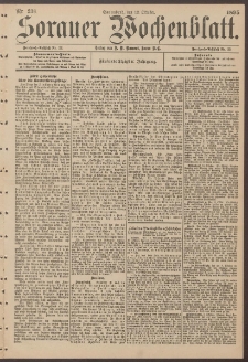 Sorauer Wochenblatt, Nr. 238. (12. Oktober 1895)