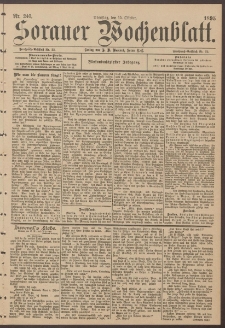Sorauer Wochenblatt, Nr. 240. (15. Oktober 1895)