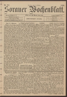 Sorauer Wochenblatt, Nr. 243. (18. Oktober 1895)