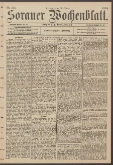 Sorauer Wochenblatt, Nr. 244. (19. Oktober 1895)