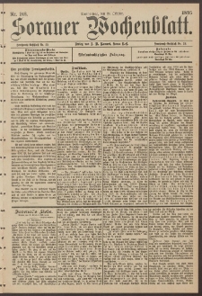 Sorauer Wochenblatt, Nr. 248. (24. Oktober 1895)