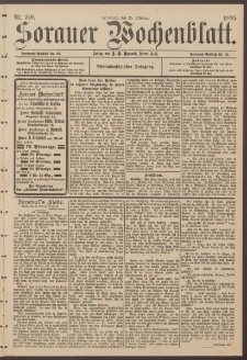 Sorauer Wochenblatt, Nr. 249. (25. Oktober 1895)