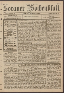 Sorauer Wochenblatt, Nr. 253. (30. Oktober 1895)