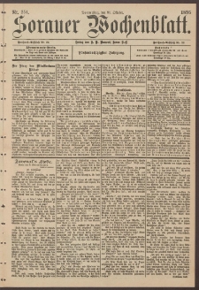Sorauer Wochenblatt, Nr. 254. (31. Oktober 1895)