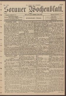 Sorauer Wochenblatt, Nr. 256. (2. November 1895)