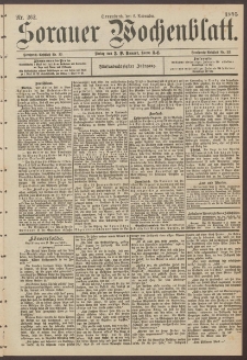 Sorauer Wochenblatt, Nr. 262. (9. November 1895)