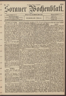 Sorauer Wochenblatt, Nr. 264. (12. November 1895)