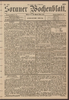 Sorauer Wochenblatt, Nr. 268. (16. November 1895)