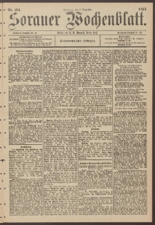 Sorauer Wochenblatt, Nr. 284. (6. Dezember 1895)